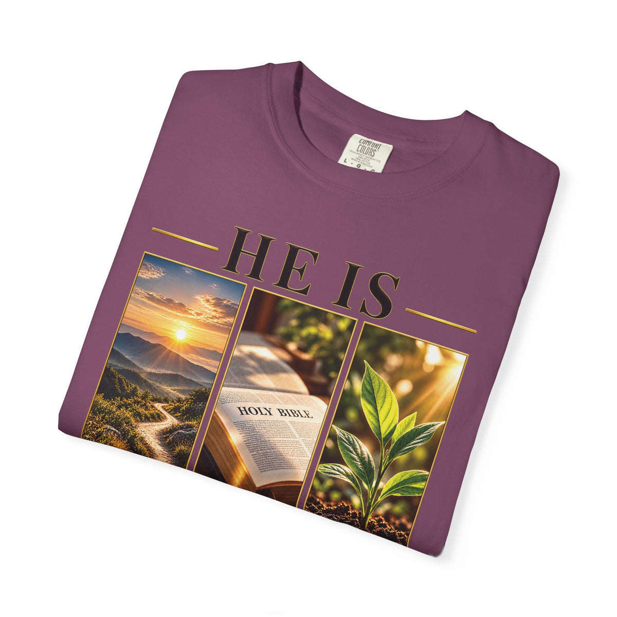 He Is the Way The Truth and The Life Christian T-Shirt | John 14:6 Faith Based Tee | Pray & Bloom