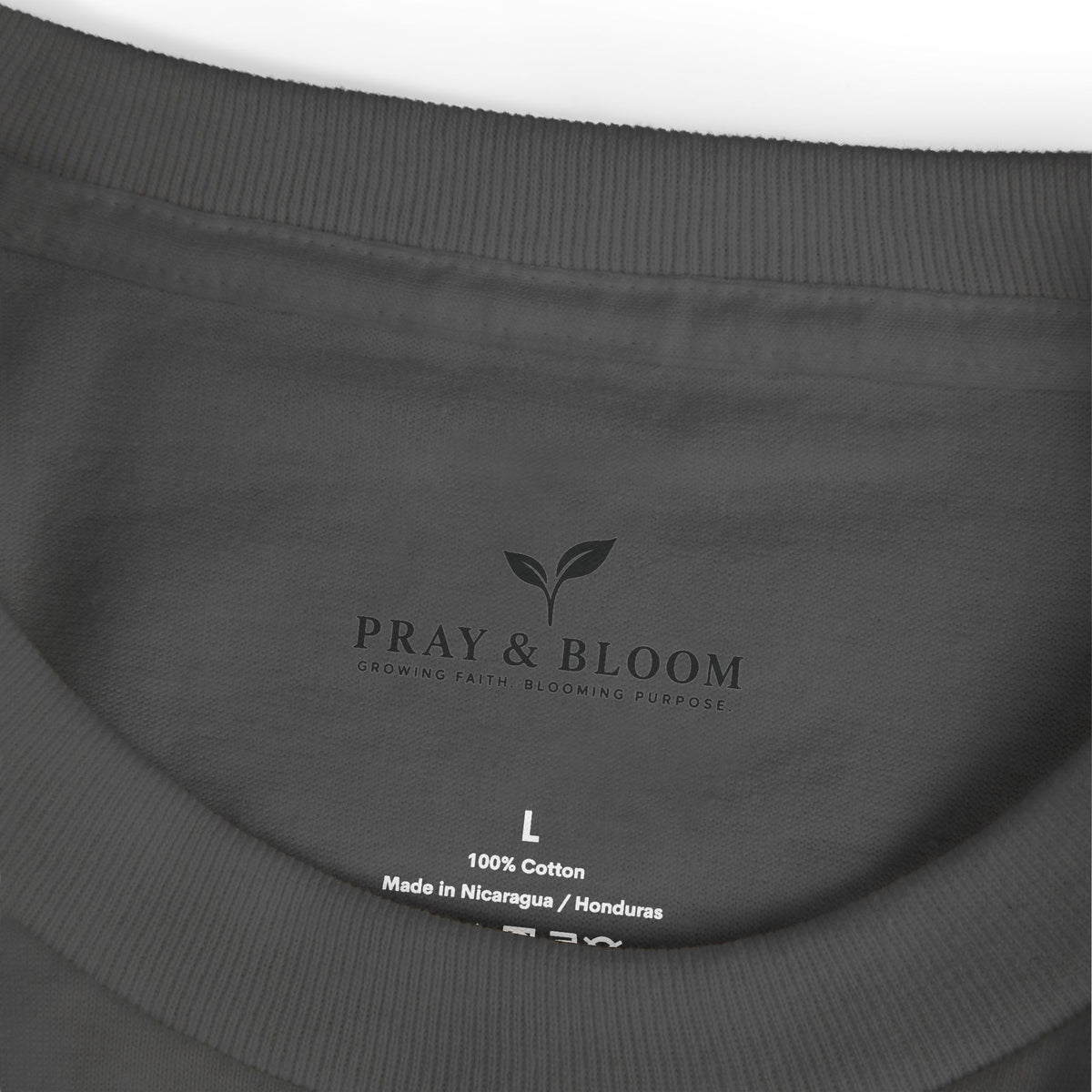 Iron Sharpens Iron Christian T-Shirt | Proverbs 27:17 | Pray & Bloom