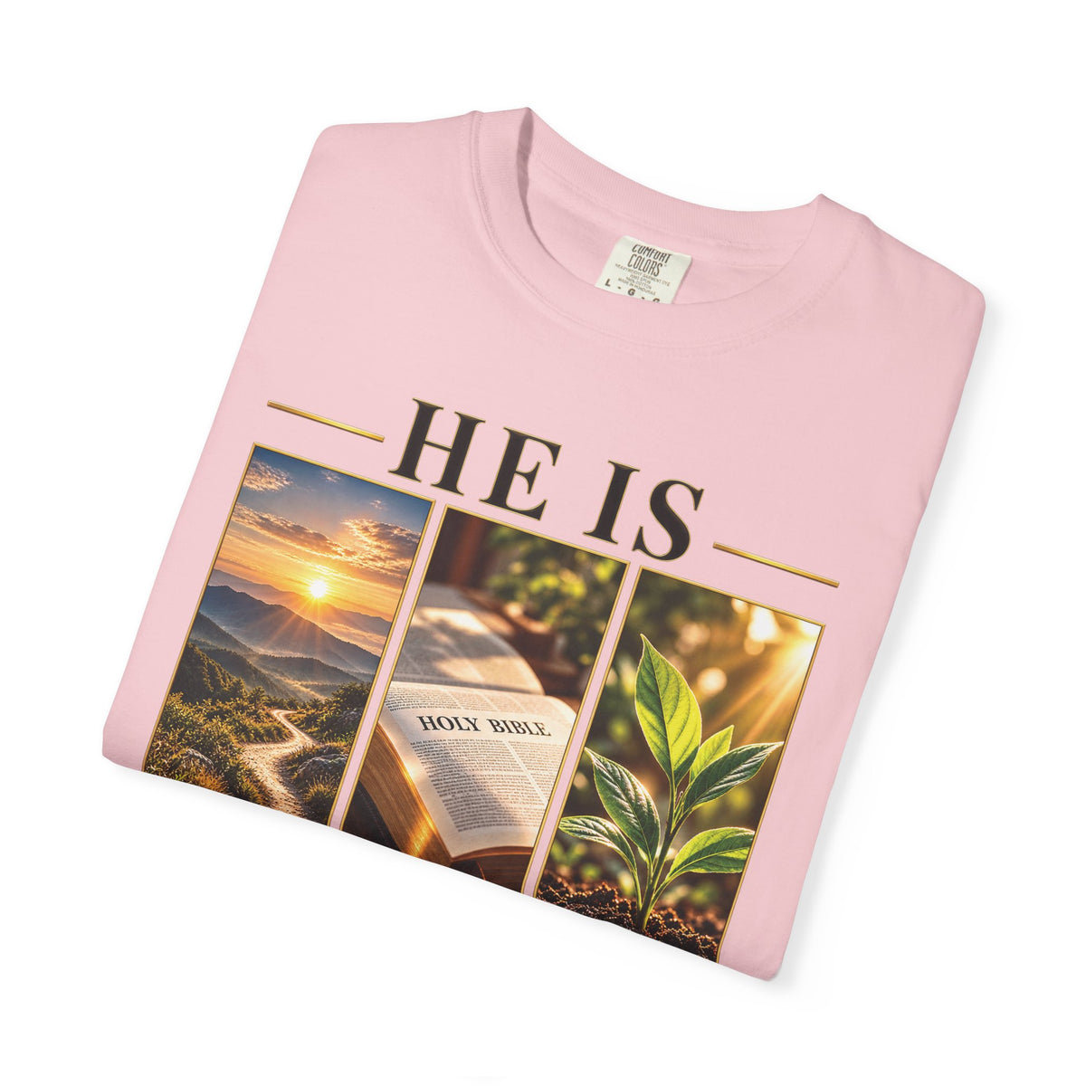 He Is the Way The Truth and The Life Christian T-Shirt | John 14:6 Faith Based Tee | Pray & Bloom